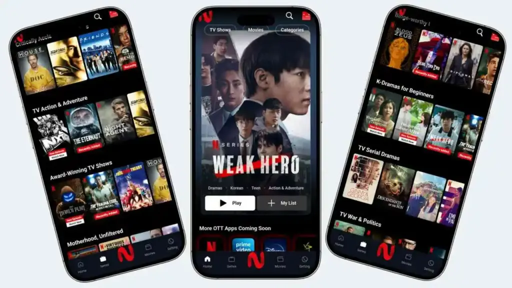 What is Netflix Mod